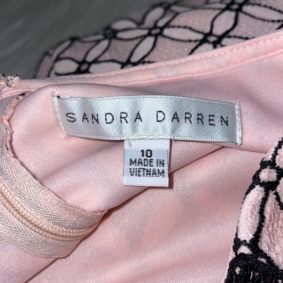 Sandra Darren Pink & Black Lace Dress - Picture 8 of 11